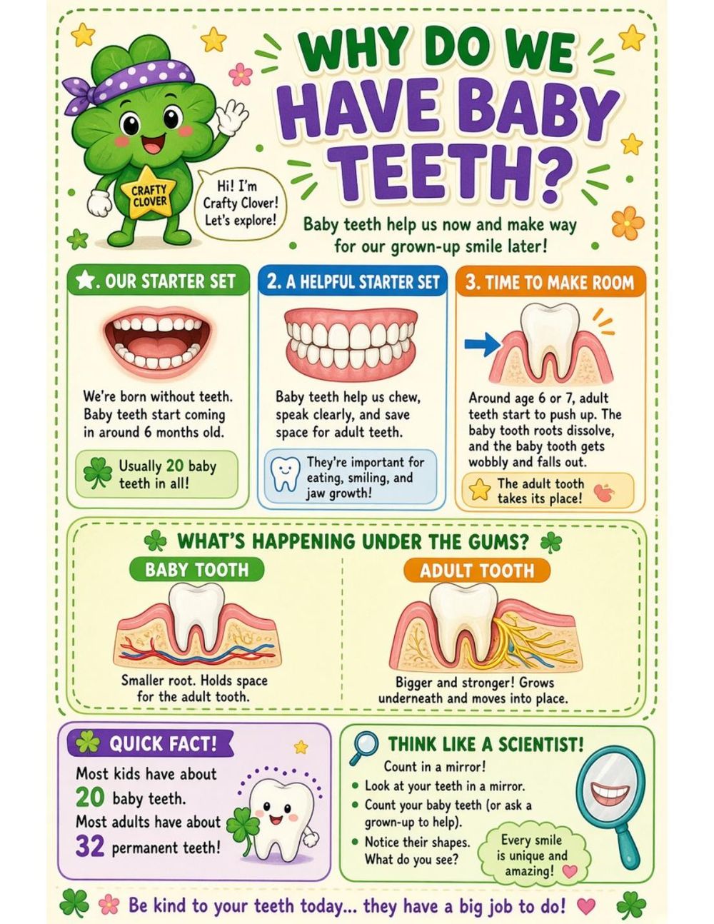 Illustrated page from A Million Whys Book 1 titled Why Do We Have Baby Teeth? A Starter Set for Your Smile, with Crafty Clover.