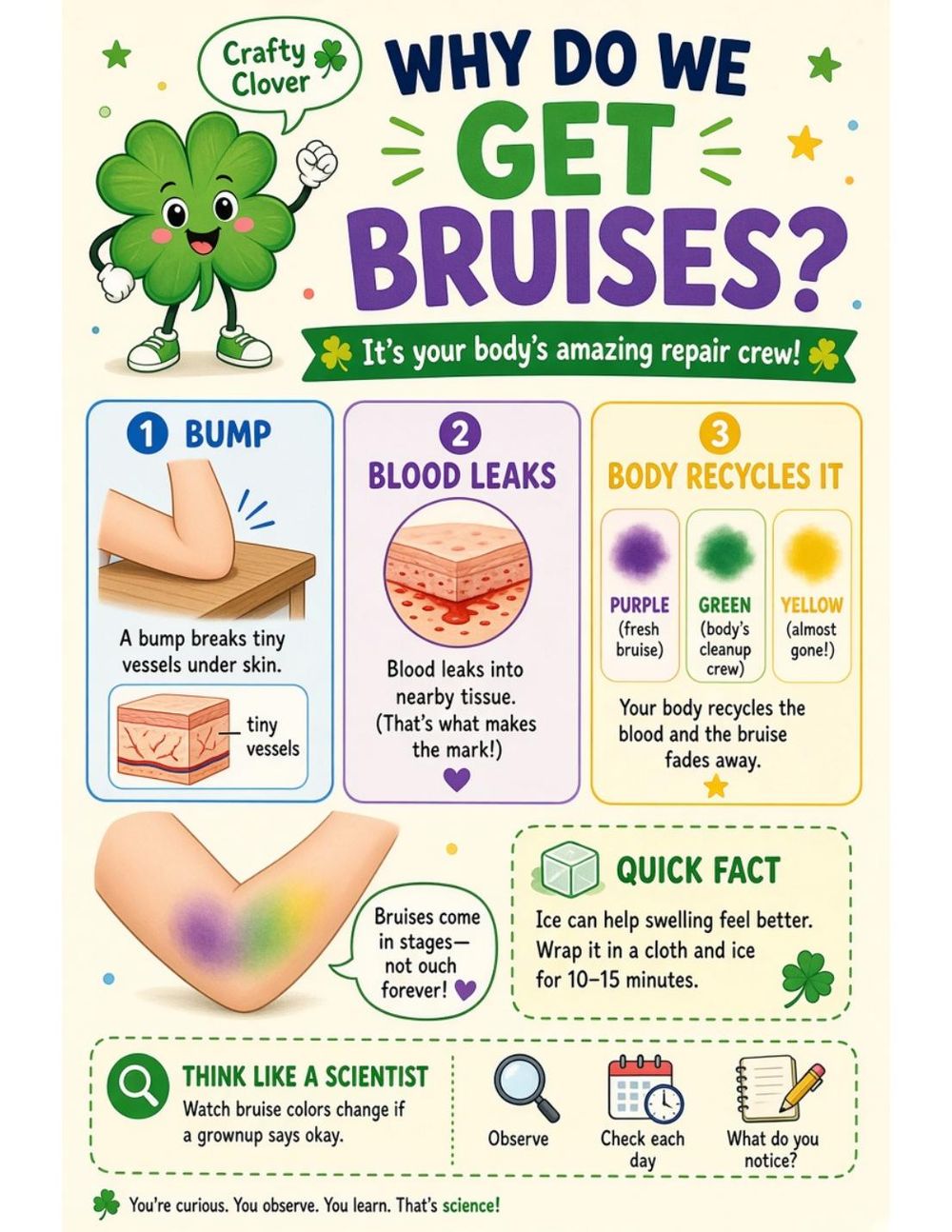Illustrated page from A Million Whys Book 1 titled Why Do We Get Bruises? Purple, Green, Then Gone, with Crafty Clover.