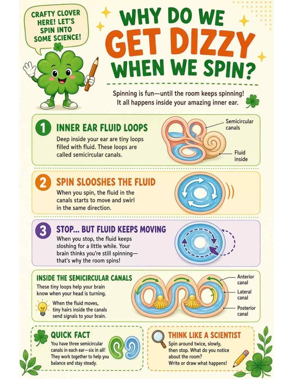 Illustrated page from A Million Whys Book 1 titled Why Do We Get Dizzy When We Spin? Wobbly Ear Fluid, with Crafty Clover.