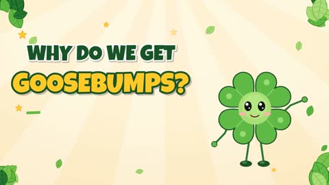 Why Do We Get Goosebumps? Tiny Muscles, Big Bumps!