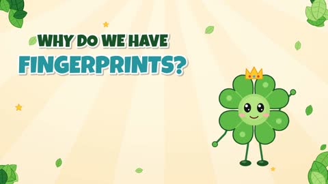 Why Do We Have Fingerprints? Tiny Treads on Your Fingers!