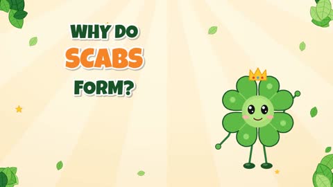 Why Do Scabs Form? Your Body's Build-a-Bandage Crew!
