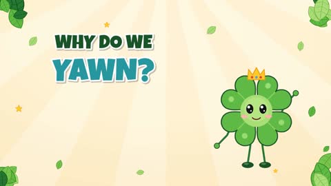Why Do We Yawn? The Big Stretchy Mystery!