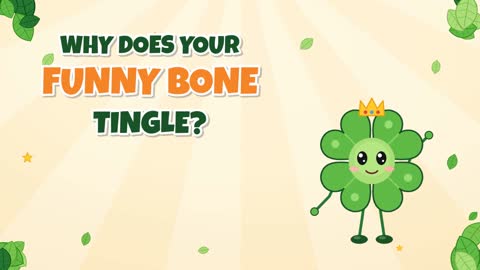 Why Does Your Funny Bone Tingle? (Spoiler: It's Not a Bone!)