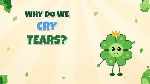 Why Do We Cry Tears? It's More Than Just Water!