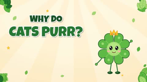 Why Do Cats Purr? The Rumble in the Voice Box!