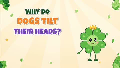 Why Do Dogs Tilt Their Heads? Clues From a Curious Pup!