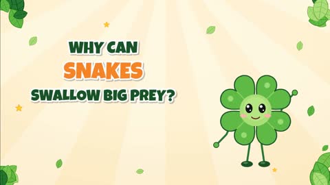 Why Can Snakes Swallow Big Prey? Jaws That Walk!
