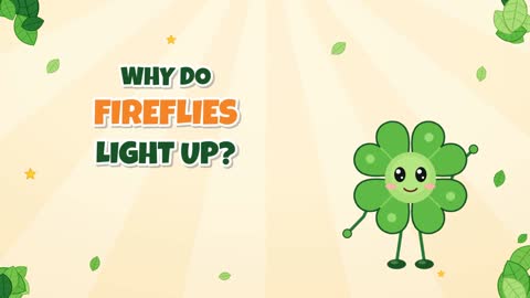 Why Do Fireflies Light Up? A Cold, Glowing Code!