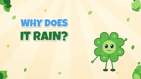 Why Does It Rain? Follow the Water Cycle!