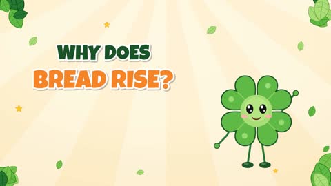 Why Does Bread Rise? Meet the Tiny Yeast Helpers!