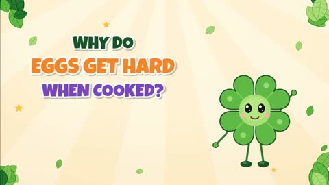 Why Do Eggs Get Hard When Cooked? Proteins on the Move!
