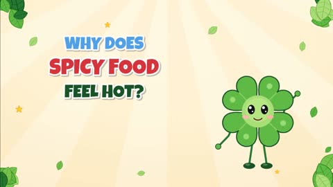 Why Does Spicy Food Feel Hot? Meet Capsaicin!