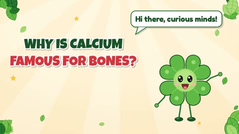 Why Is Calcium Famous for Bones?
