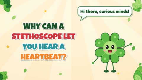 Why Can a Stethoscope Let You Hear a Heartbeat?