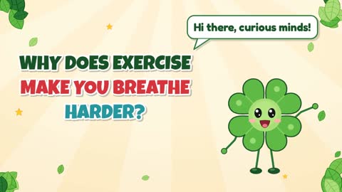 Why Does Exercise Make You Breathe Harder?