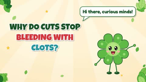 Why Do Cuts Stop Bleeding with Clots?