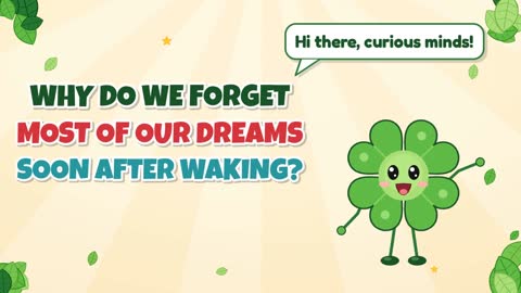 Why Do We Forget Most of Our Dreams Soon After Waking?