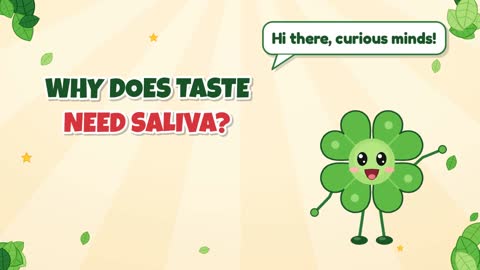 Why Does Taste Need Saliva?