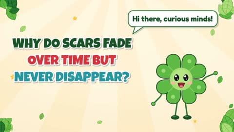 Why Do Scars Fade Over Time But Never Disappear?