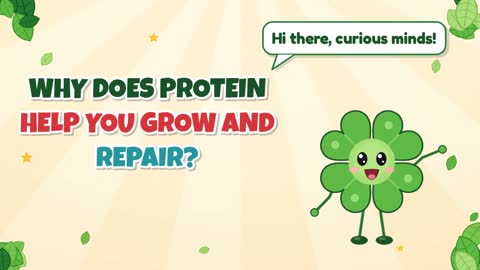 Why Does Protein Help You Grow and Repair?
