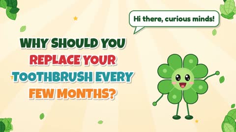 Why Should You Replace Your Toothbrush Every Few Months?
