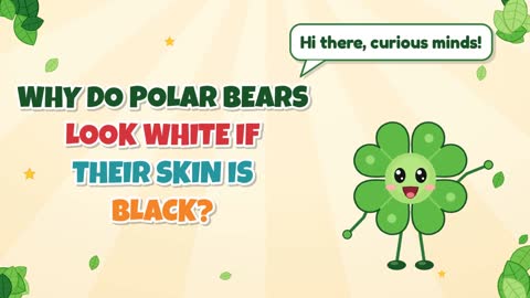 Why Do Polar Bears Look White If Their Skin Is Black?