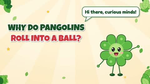 Why Do Pangolins Roll Into a Ball?