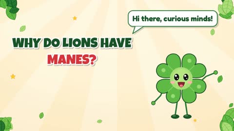 Why Do Lions Have Manes?