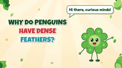 Why Do Penguins Have Dense Feathers?