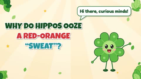 Why Do Hippos Ooze a Red-Orange “Sweat”?