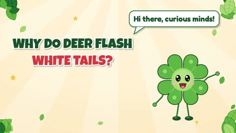 Why Do Deer Flash White Tails?
