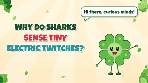 Why Do Sharks Sense Tiny Electric Twitches?