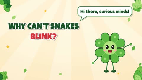 Why Can’t Snakes Blink?