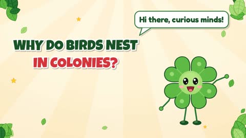 Why Do Birds Nest in Colonies?