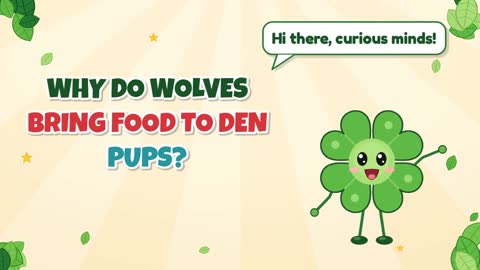 Why Do Wolves Bring Food to Den Pups?
