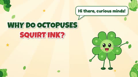Why Do Octopuses Squirt Ink?