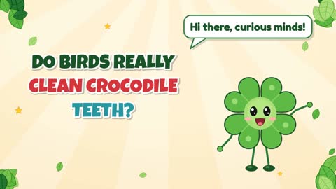 Do Birds Really Clean Crocodile Teeth?