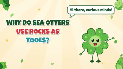 Why Do Sea Otters Use Rocks as Tools?