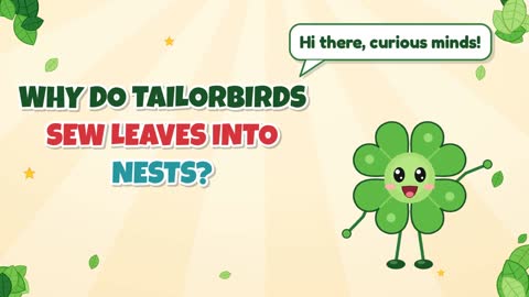 Why Do Tailorbirds Sew Leaves Into Nests?