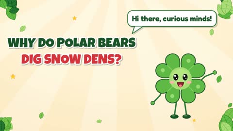 Why Do Polar Bears Dig Snow Dens?