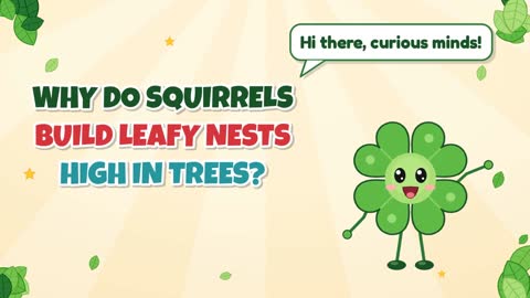 Why Do Squirrels Build Leafy Nests High in Trees?