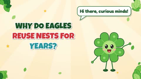 Why Do Eagles Reuse Nests for Years?