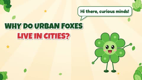 Why Do Urban Foxes Live in Cities?