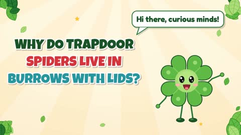 Why Do Trapdoor Spiders Live in Burrows with Lids?