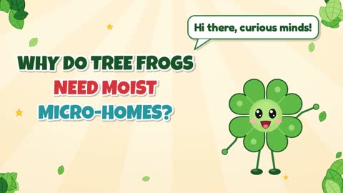 Why Do Tree Frogs Need Moist Micro-Homes?