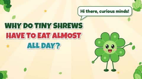 Why Do Tiny Shrews Have to Eat Almost All Day?
