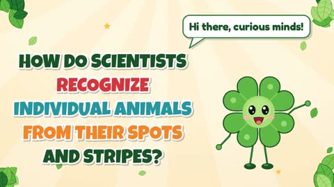 How Do Scientists Recognize Individual Animals From Their Spots and Stripes?