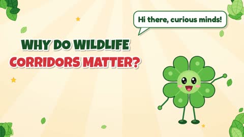 Why Do Wildlife Corridors Matter?