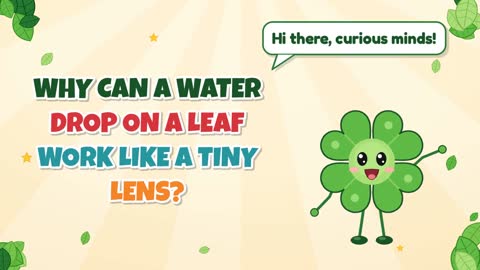 Why Can a Water Drop on a Leaf Work Like a Tiny Lens?